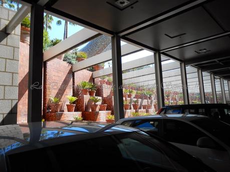 UN DÍA DE PLAYA ESTUPENDO, EN LA BARCELONETA...3-08-2014...!!! UN DÍA DE PLAYA ESTUPENDO, EN LA BARCELONETA...3-08-2014...!!!