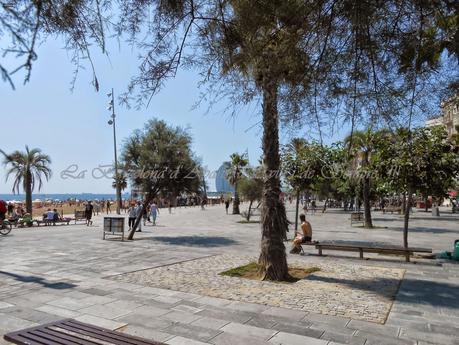 UN DÍA DE PLAYA ESTUPENDO, EN LA BARCELONETA...3-08-2014...!!! UN DÍA DE PLAYA ESTUPENDO, EN LA BARCELONETA...3-08-2014...!!!