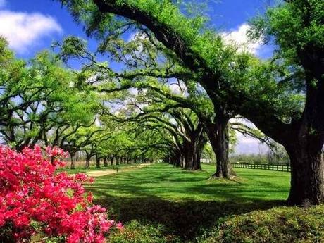 Parque en primavera