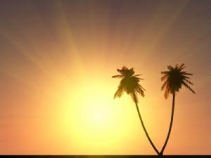 Un mes para desconectar ID-10046646