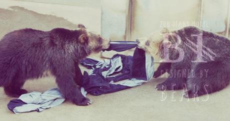 Los jeans destroyed creados por los animales del zoo de Kamine Los jeans destroyed creados por los animales del zoo de Kamine