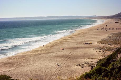 Atun de almadraba, placeres gaditanos! Atun de almadraba, placeres gaditanos!