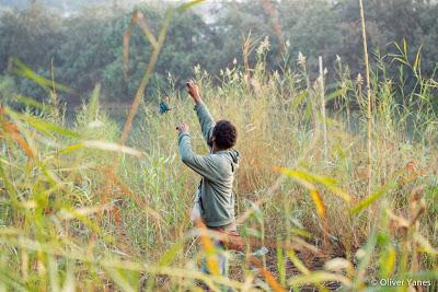 Anillar aves migratorias en el Parque Nacional de Souss Massa Anillar aves migratorias en el Parque Nacional de Souss Massa