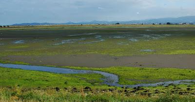 Escapada invernal a Irlanda Escapada invernal a Irlanda