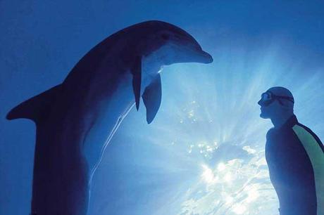 Stig Avall Severinsen Stig Avall Severinsen