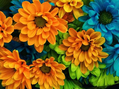 4 Pasos para obtener éxito en tu vida 4 Pasos para obtener éxito en tu vida