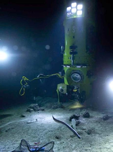 descenso a la fosa de las Marianas descenso a la fosa de las Marianas