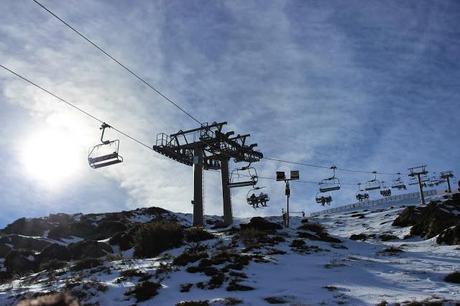 escapada a sierra nevada con niños, mirlo blanco, hoya mora escapada a sierra nevada con niños, mirlo blanco, hoya mora