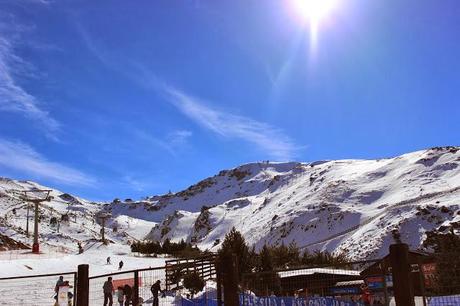 escapada a sierra nevada con niños, mirlo blanco, hoya mora escapada a sierra nevada con niños, mirlo blanco, hoya mora