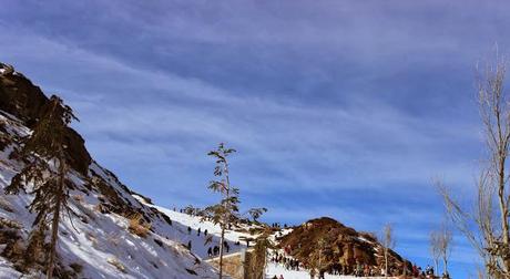 escapada a sierra nevada con niños, mirlo blanco, hoya mora escapada a sierra nevada con niños, mirlo blanco, hoya mora