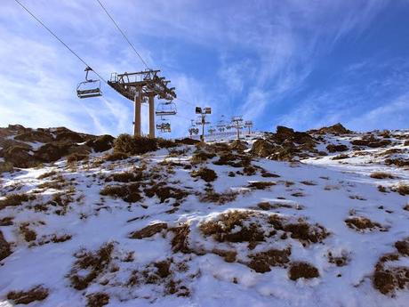 escapada a sierra nevada con niños, mirlo blanco, hoya mora escapada a sierra nevada con niños, mirlo blanco, hoya mora