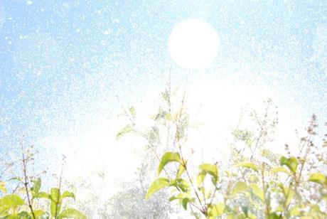 A 3,5 cm de la Muerte vida 084