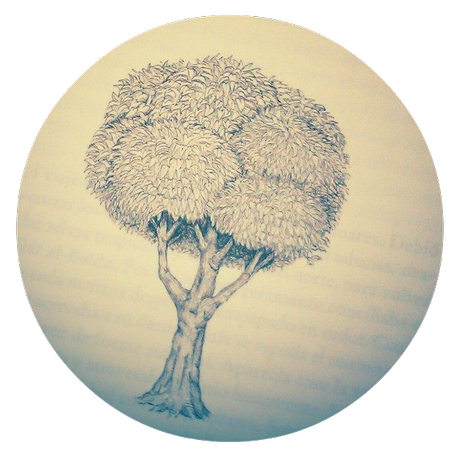 RESEÑA: AMAGI, SAGAR PRAKASH KHATNAMI RESEÑA: AMAGI, SAGAR PRAKASH KHATNAMI