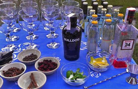 Barra de Gin Tonics Barra de Gin Tonics