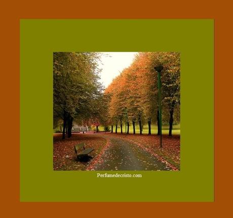 No me da miedo morir junto a ti … Pido silencio