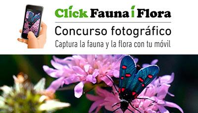 Primera edición del concurso fotográfico CLICKFauna iFlora’(España) Primera edición del concurso fotográfico CLICKFauna iFlora’(España)