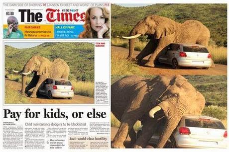 Portada periódico - elefante atacando carro parque Sudáfrica