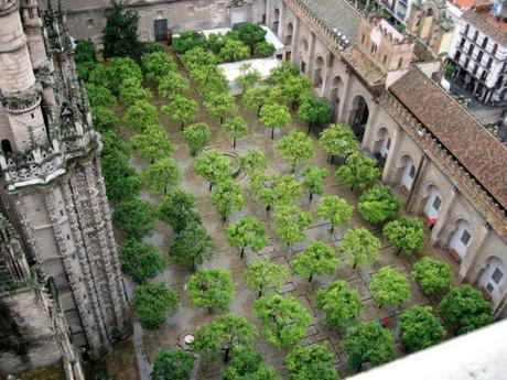 Catedral de Sevilla - Patio Naranjos catedral-de-sevilla-patio