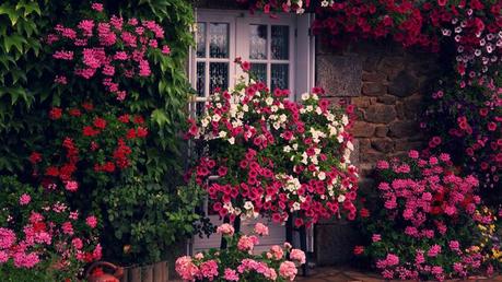 Casas con Flores Casas con Flores