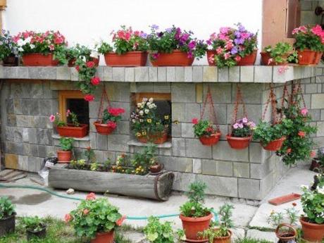Casas con Flores Casas con Flores