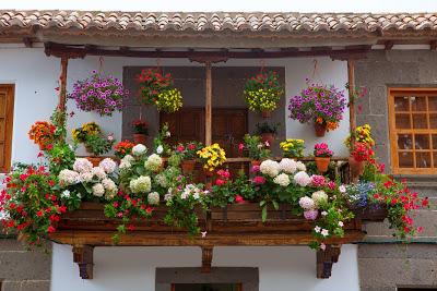 Casas con Flores Casas con Flores