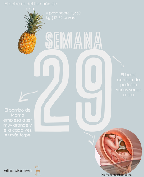 Semana 29 Embarazo | Week 29 Pregnancy