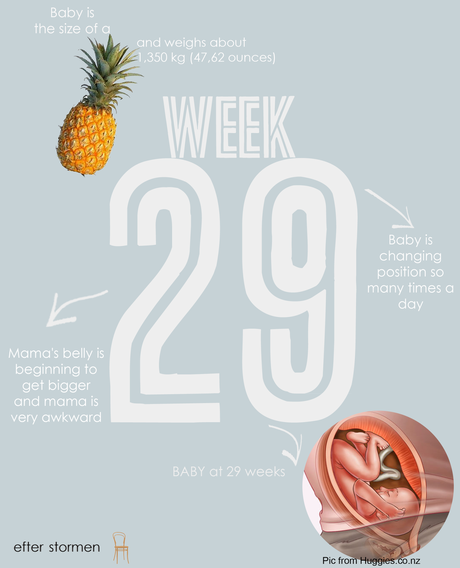 Semana 29 Embarazo | Week 29 Pregnancy