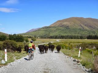 DE GRETA VALLEY A LAS LLANURAS DE ROHAN DE GRETA VALLEY A LAS LLANURAS DE ROHAN