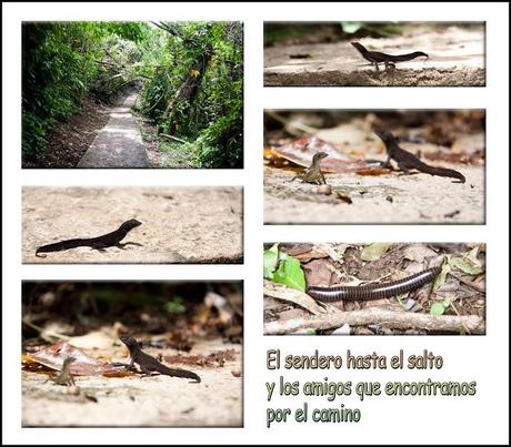 Soroa y Las Terrazas Soroa y Las Terrazas