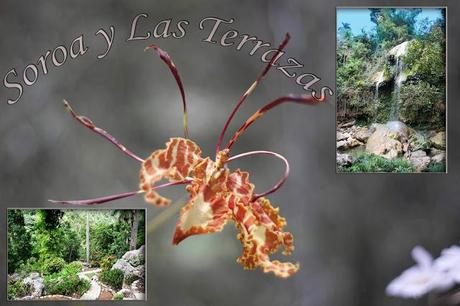Soroa y Las Terrazas Soroa y Las Terrazas