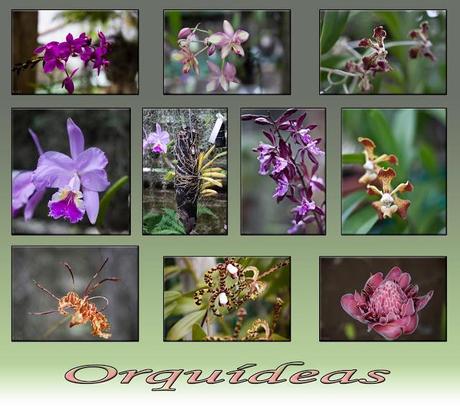 Soroa y Las Terrazas Soroa y Las Terrazas