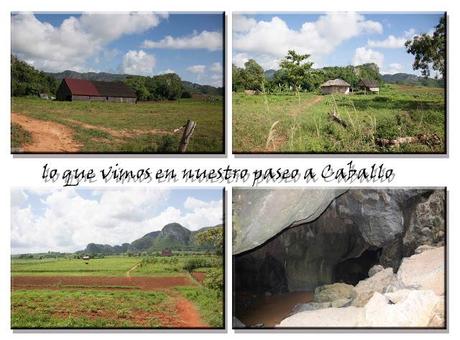 Viñales Viñales