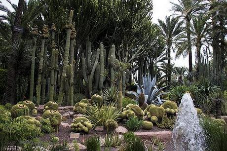 Huerto del Cura,  Elche