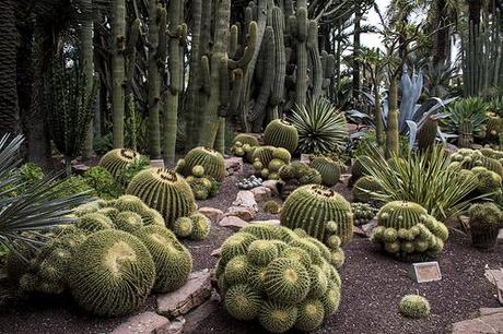 Huerto del Cura,  Elche