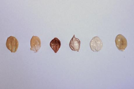 Top 6 Iluminadores líquidos Top 6 Iluminadores líquidos