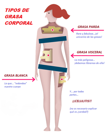 tipos de grasa