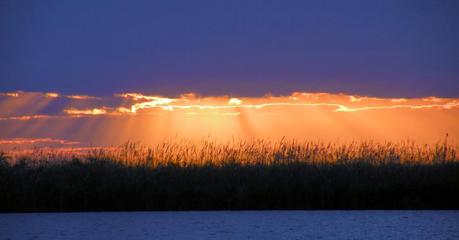 Por el Delta del Okavango