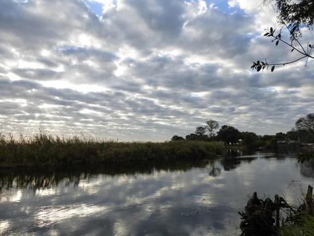 Por el Delta del Okavango