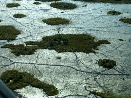 Por el Delta del Okavango