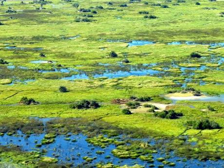 Por el Delta del Okavango