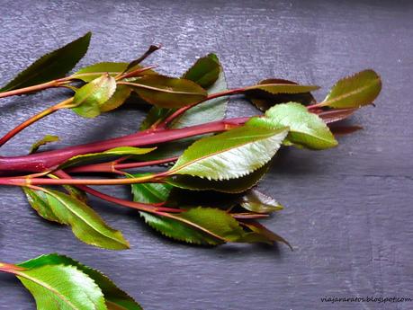 Nostalgia de Saná. Yemen Nostalgia de Saná. Yemen