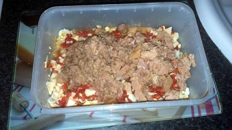 EMPANADILLAS CASERAS DE ATÚN EMPANADILLAS CASERAS DE ATÚN