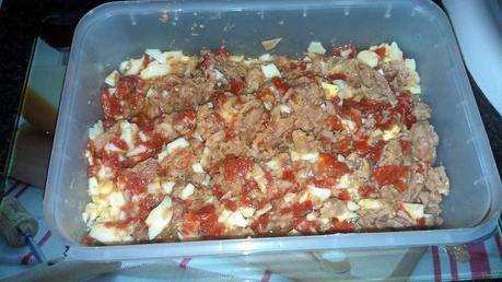 EMPANADILLAS CASERAS DE ATÚN EMPANADILLAS CASERAS DE ATÚN