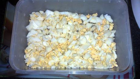 EMPANADILLAS CASERAS DE ATÚN EMPANADILLAS CASERAS DE ATÚN