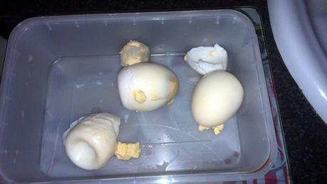 EMPANADILLAS CASERAS DE ATÚN EMPANADILLAS CASERAS DE ATÚN