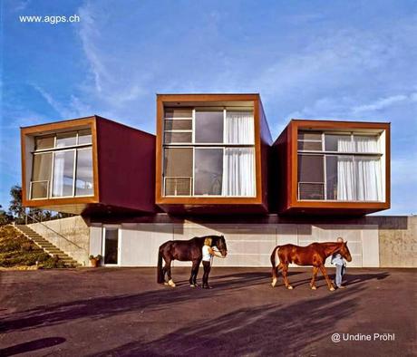 Residencia contemporánea orgánica en California