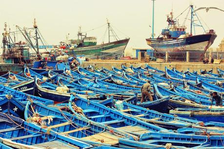 Essaouira y las Cascadas de Ouzoud