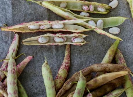 workshop dia 2 + arroz con leche con fruta en compota, una receta de