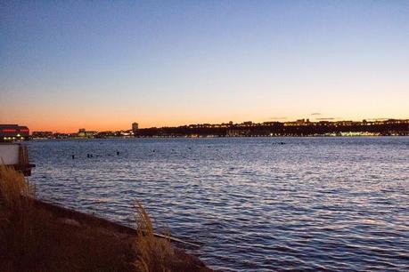 workshop dia 2 + arroz con leche con fruta en compota, una receta de