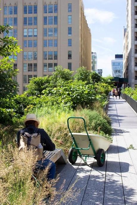 workshop dia 2 + arroz con leche con fruta en compota, una receta de